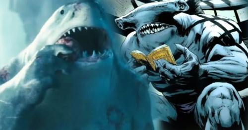 10 حقیقت مهمی که باید درباره  کینگ شارک (King Shark) بدانید شاه کوسه معرفی شخصیت فکت facts